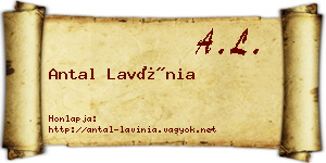 Antal Lavínia névjegykártya